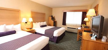 best western plus manchester nh airport